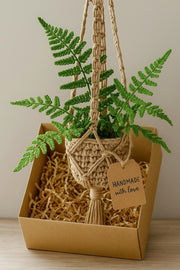 Crochet Fern Macrame Hanging Basket - image 4