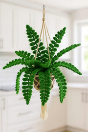 Crochet Fern Macrame Hanging Basket - Style 2 - image 4