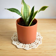 Crochet Floral Doily - image 7