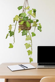 Crochet Ivy Hanging Decor - image 3