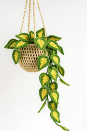 Crochet Macrame Plant Basket - image 7