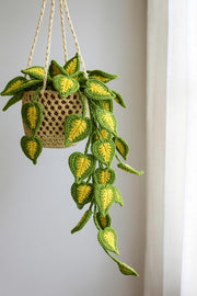 Crochet Macrame Plant Basket - image 9