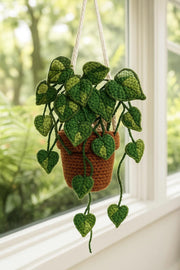 Crochet Pothos Hanging Decor - image 1