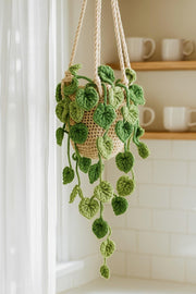 Crochet Pothos Macrame Hanging Basket - image 1