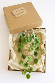 Crochet Pothos Macrame Hanging Basket - image 4