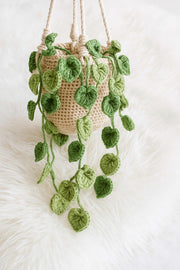 Crochet Pothos Macrame Hanging Basket - image 7